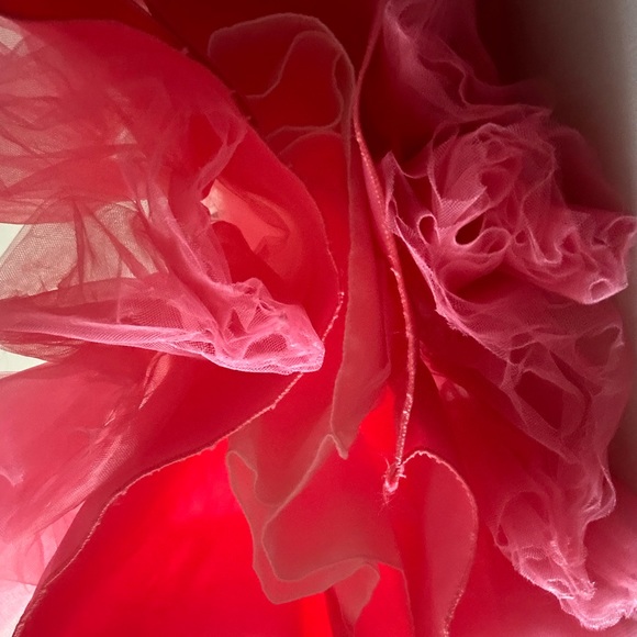 Beautiful 2 year old fancy Dress. New - Picture 6 of 7